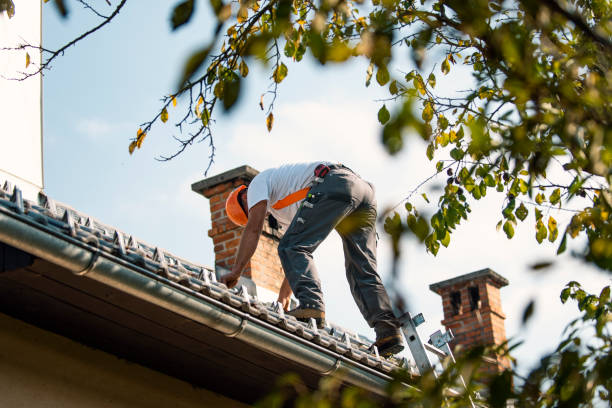 Best Emergency Roof Repair  in Lemon Hill, CA