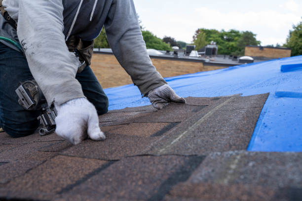 Best Roof Waterproofing Services  in Lemon Hill, CA